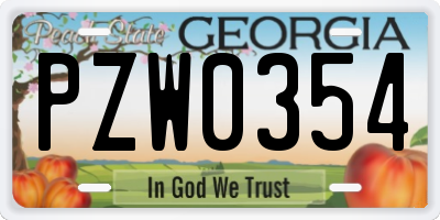 GA license plate PZW0354
