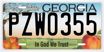 GA license plate PZW0355