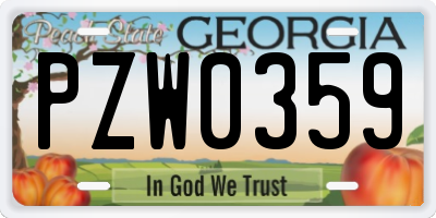 GA license plate PZW0359