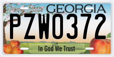 GA license plate PZW0372