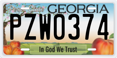 GA license plate PZW0374