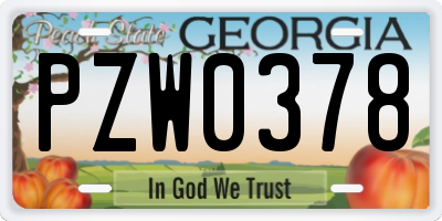 GA license plate PZW0378