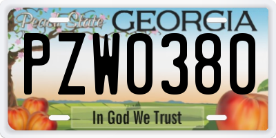 GA license plate PZW0380