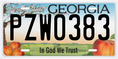 GA license plate PZW0383