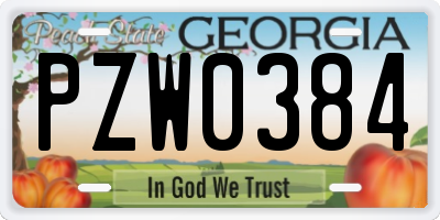 GA license plate PZW0384