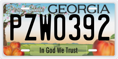GA license plate PZW0392