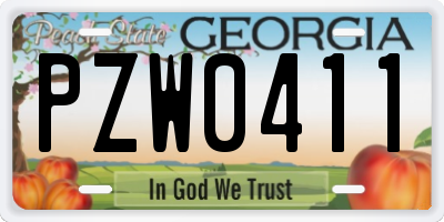 GA license plate PZW0411