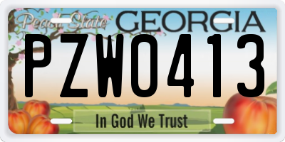 GA license plate PZW0413