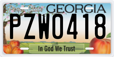 GA license plate PZW0418