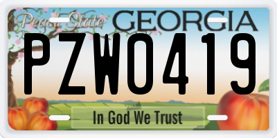 GA license plate PZW0419