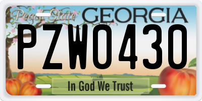 GA license plate PZW0430
