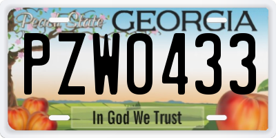GA license plate PZW0433
