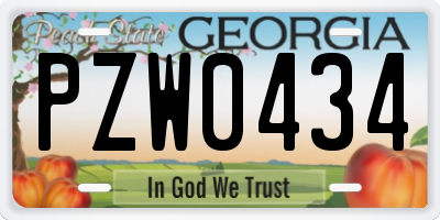 GA license plate PZW0434