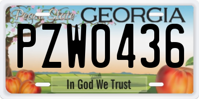 GA license plate PZW0436