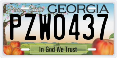 GA license plate PZW0437