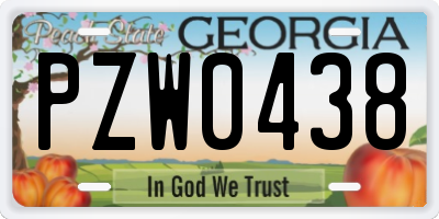 GA license plate PZW0438
