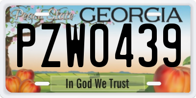 GA license plate PZW0439