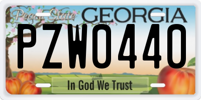 GA license plate PZW0440