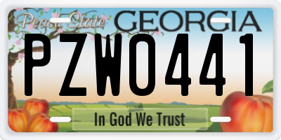 GA license plate PZW0441
