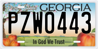 GA license plate PZW0443