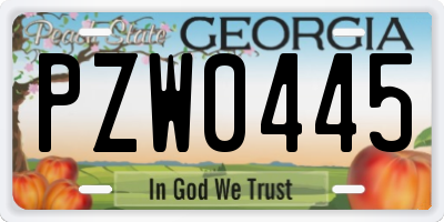 GA license plate PZW0445