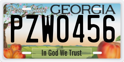 GA license plate PZW0456
