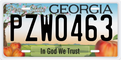 GA license plate PZW0463