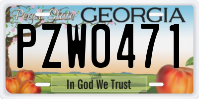 GA license plate PZW0471