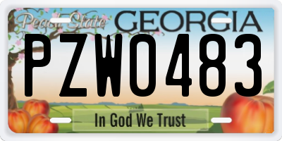 GA license plate PZW0483