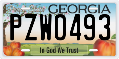 GA license plate PZW0493