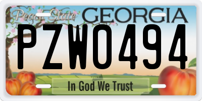 GA license plate PZW0494