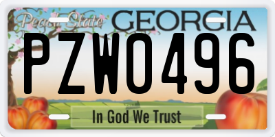 GA license plate PZW0496