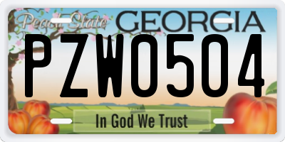 GA license plate PZW0504