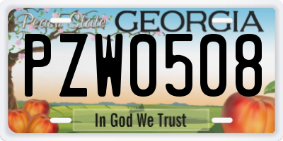 GA license plate PZW0508