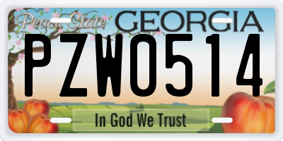 GA license plate PZW0514