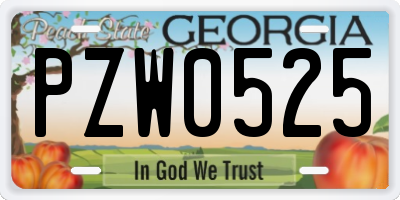 GA license plate PZW0525