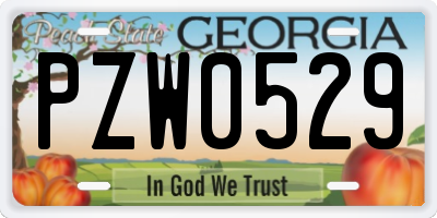 GA license plate PZW0529