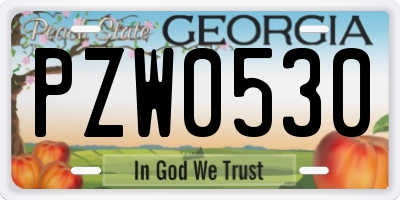 GA license plate PZW0530