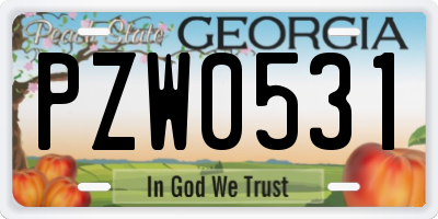 GA license plate PZW0531