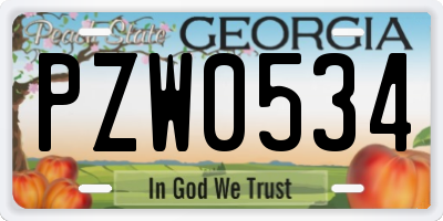 GA license plate PZW0534