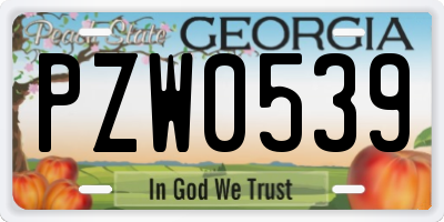 GA license plate PZW0539