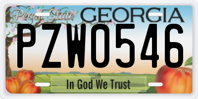 GA license plate PZW0546