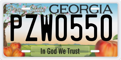 GA license plate PZW0550