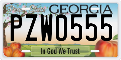 GA license plate PZW0555