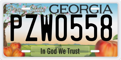GA license plate PZW0558