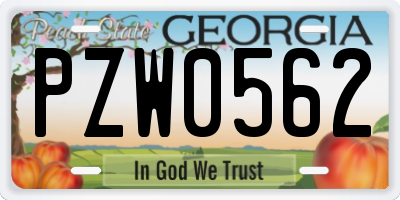 GA license plate PZW0562