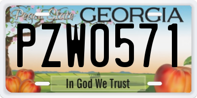 GA license plate PZW0571