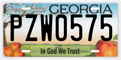 GA license plate PZW0575