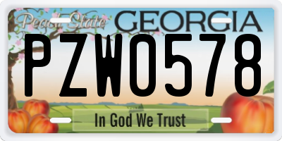 GA license plate PZW0578