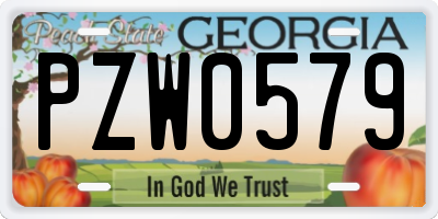 GA license plate PZW0579